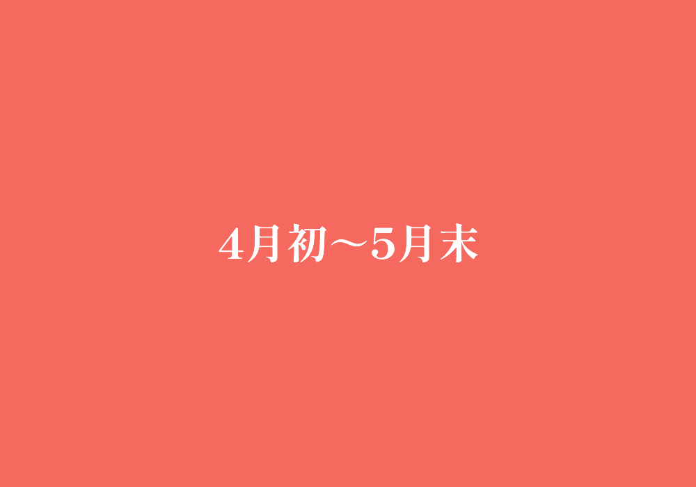 4月初～5月末