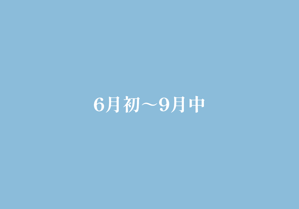 6月初～9月中