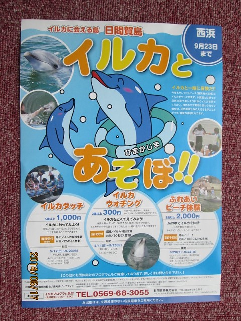 イルカのイベント