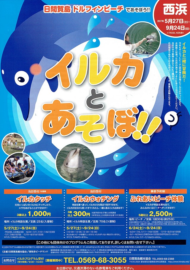 イルカとあそぼ