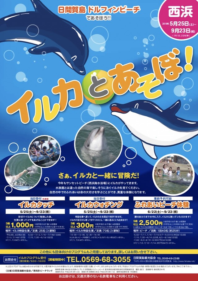 イルカとあそぼ